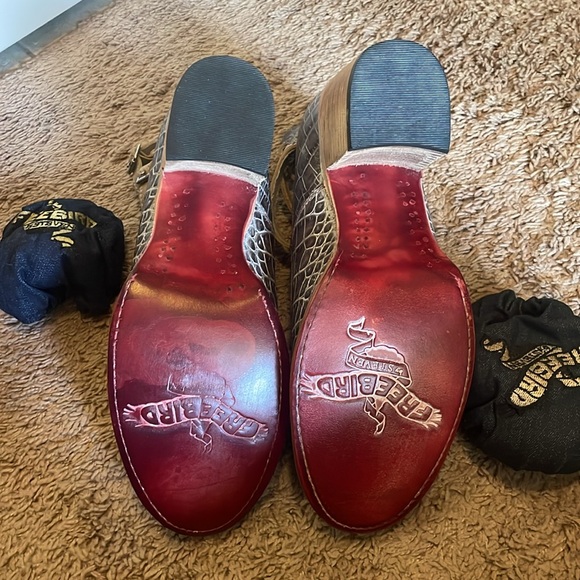 BRAND NEW NWOT free bird booties - Picture 6 of 10